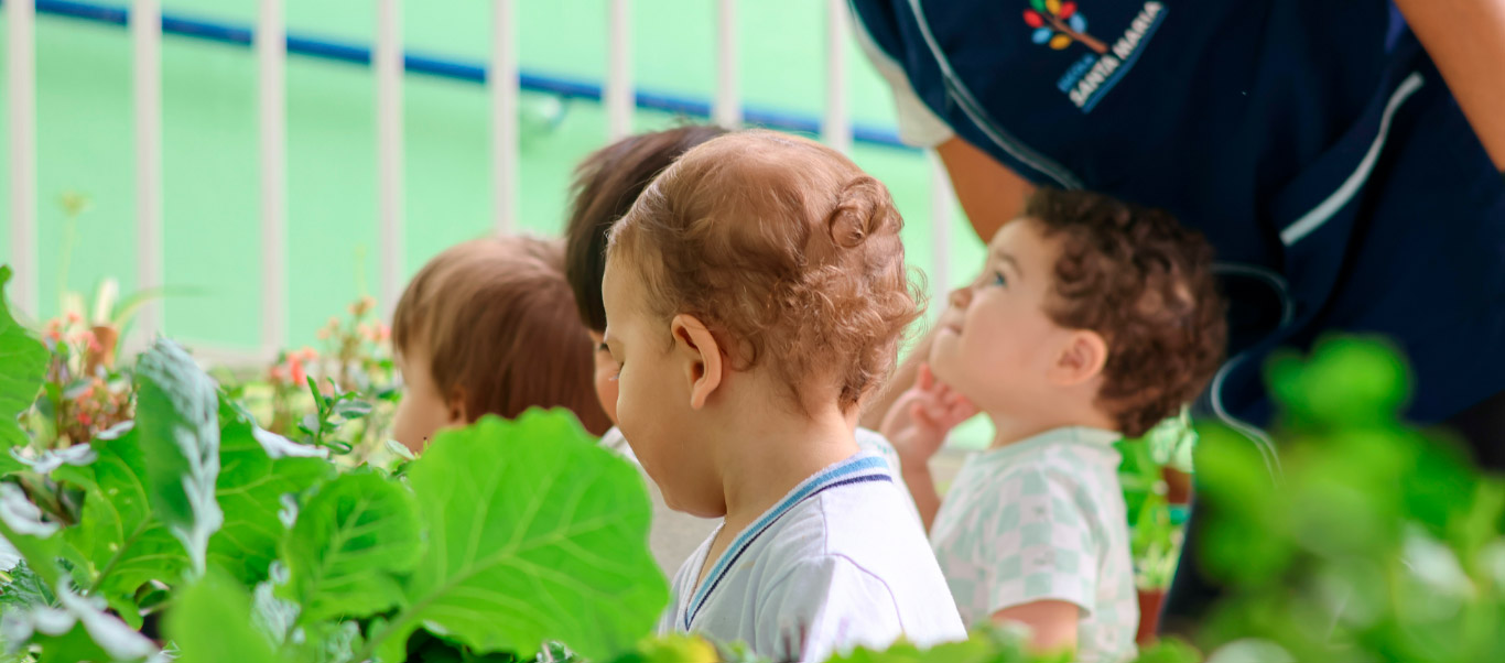 Crianças participando de uma atividade na horta da escola